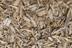 biomass boilers Gruline